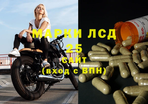 прущие крисы Приозерск