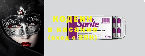 твердый Протвино