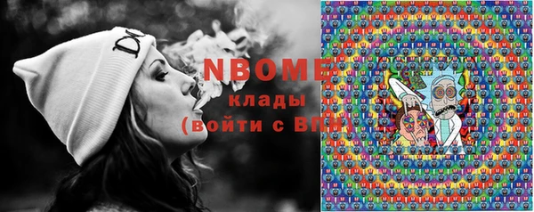 твердый Протвино