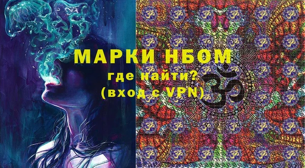 твердый Протвино