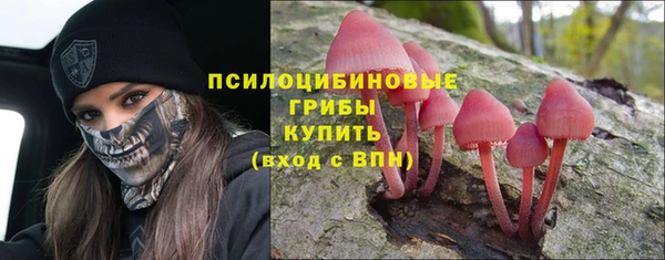 твердый Протвино
