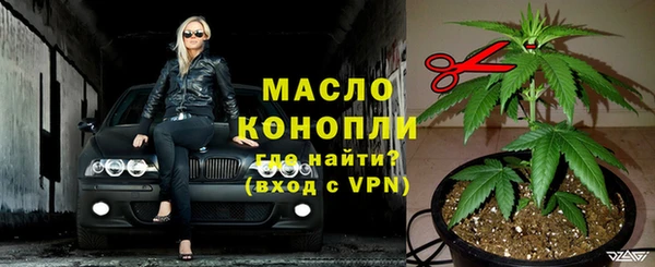 твердый Протвино
